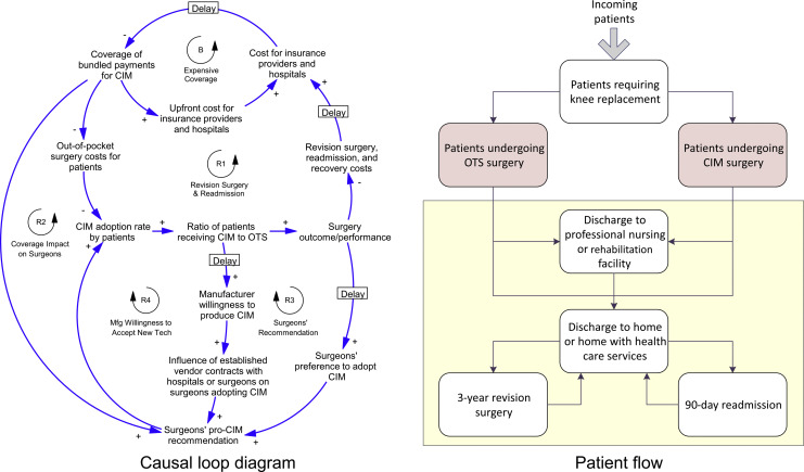 High-level version of CLD and patient flow in the system dynamics model.