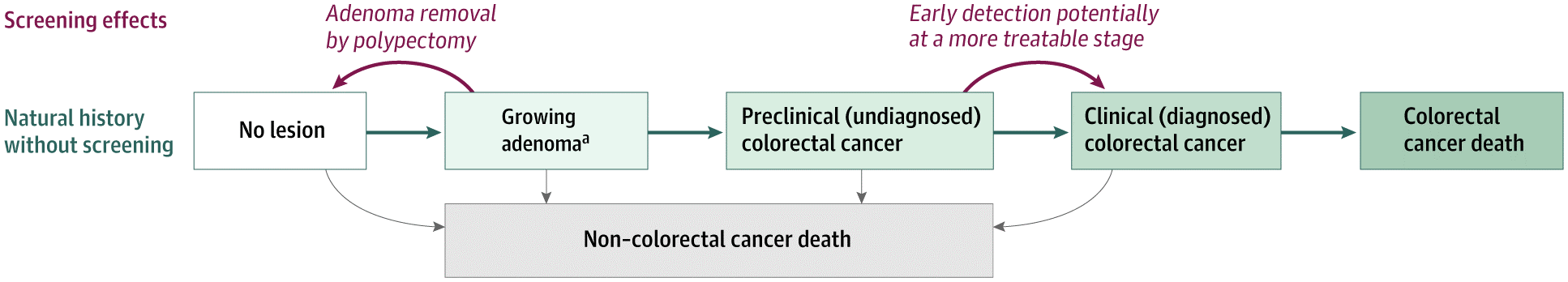 Flowchart showing how the simulation model of colorectal cancer (SimCRC) simulates the natural history of colorectal cancer and the effects of screening